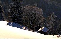 Pension Jordan Kirchberg in Tirol Exterior foto